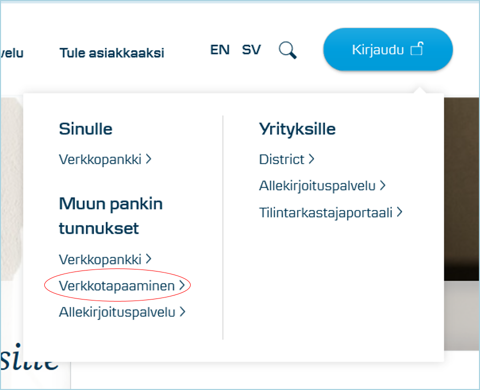 Kuvakaappaus: verkkotapaamiseen kirjautuminen